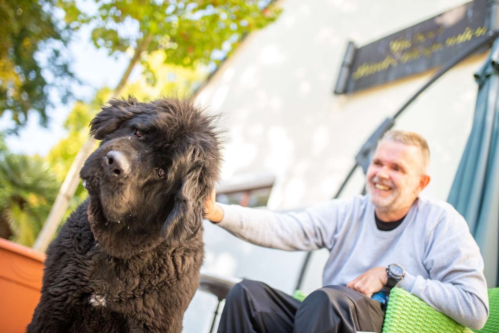 Unser Labrador Harper mit Oscar